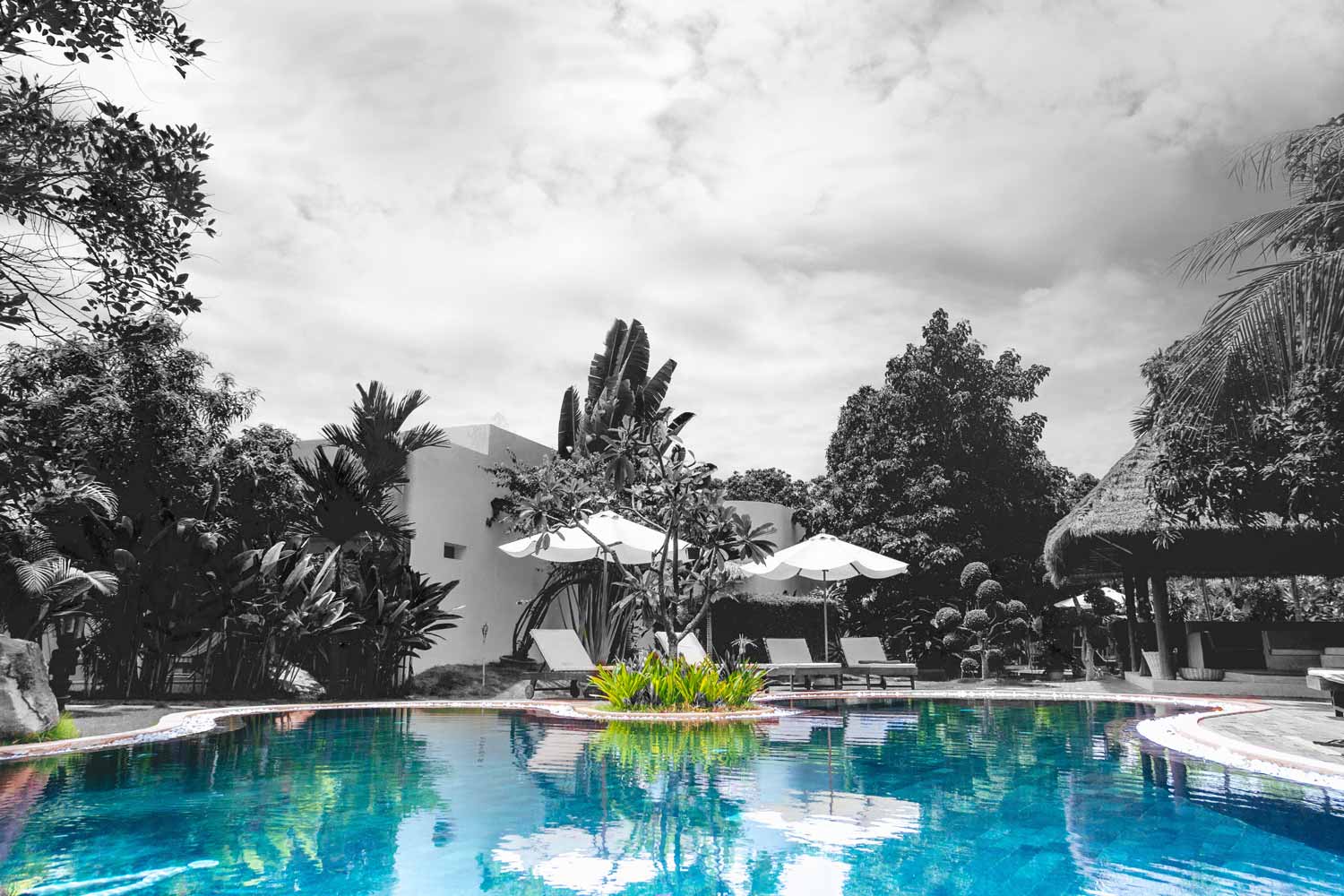 Bondi service for all sydney locations